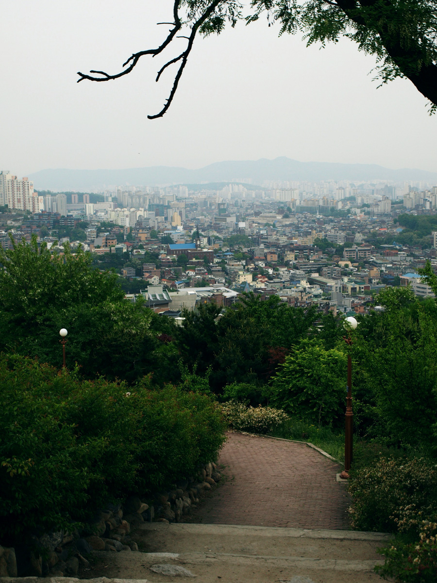 사용자 삽입 이미지