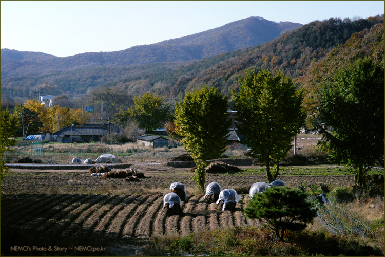 사용자 삽입 이미지