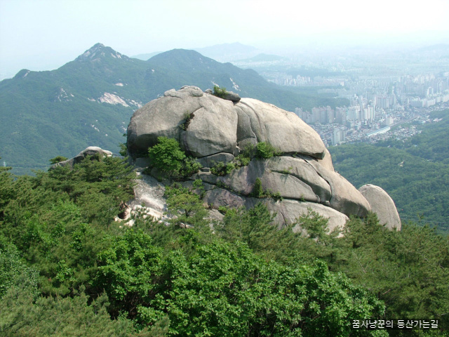 사용자 삽입 이미지