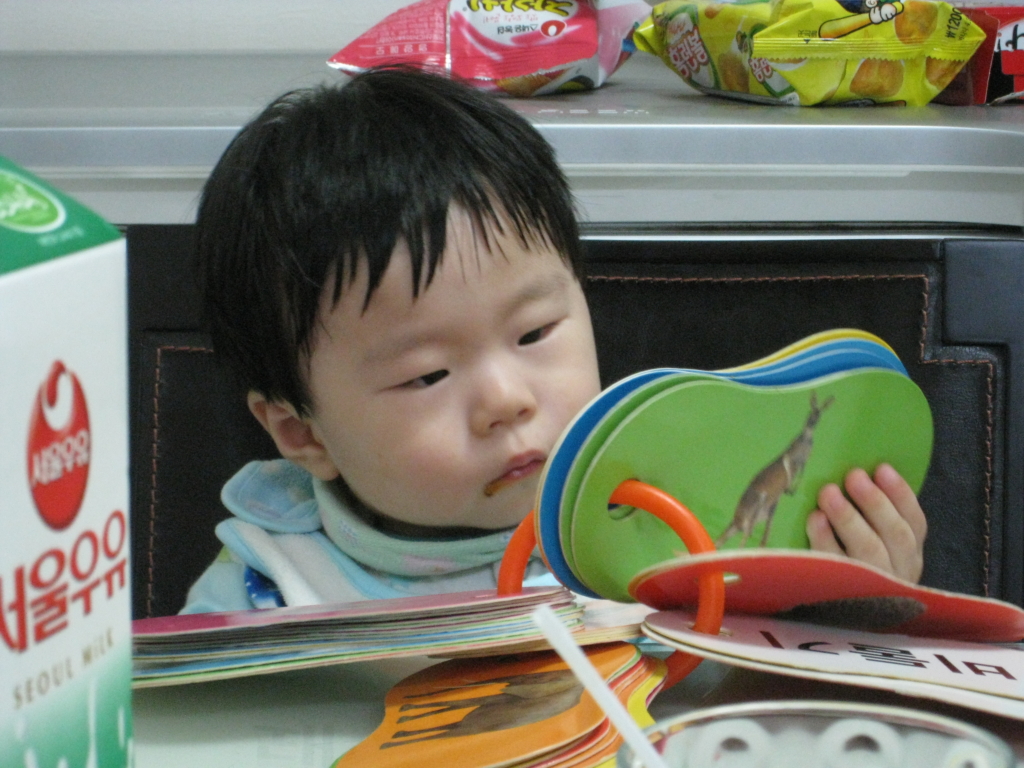 사용자 삽입 이미지
