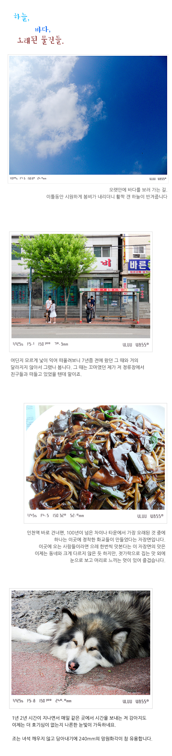 사용자 삽입 이미지