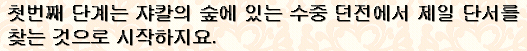 사용자 삽입 이미지