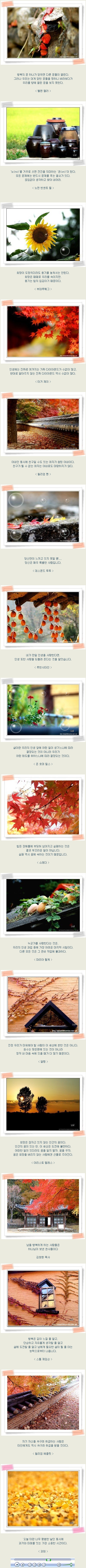 사용자 삽입 이미지