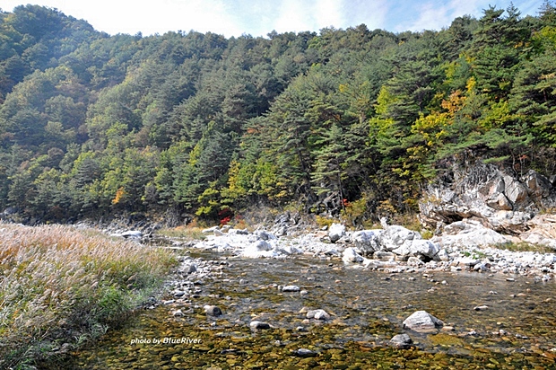 사용자 삽입 이미지