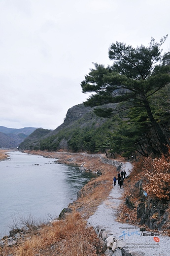 사용자 삽입 이미지