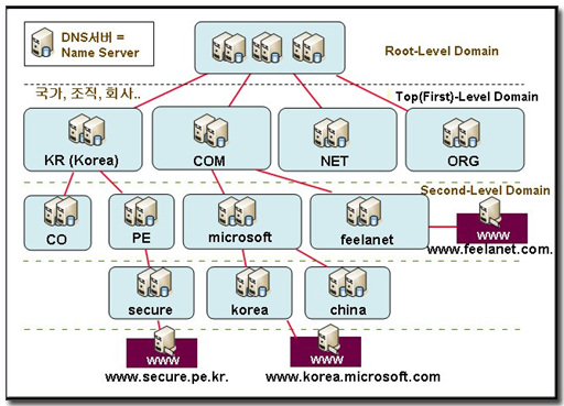 DNS 구조