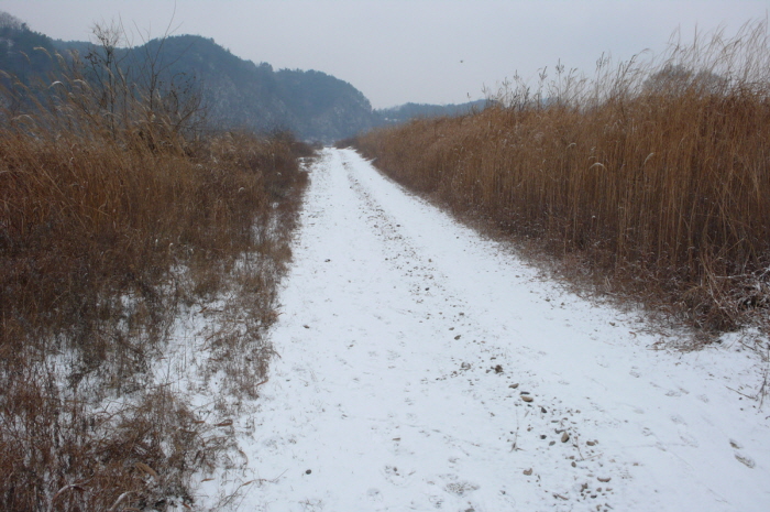 사용자 삽입 이미지