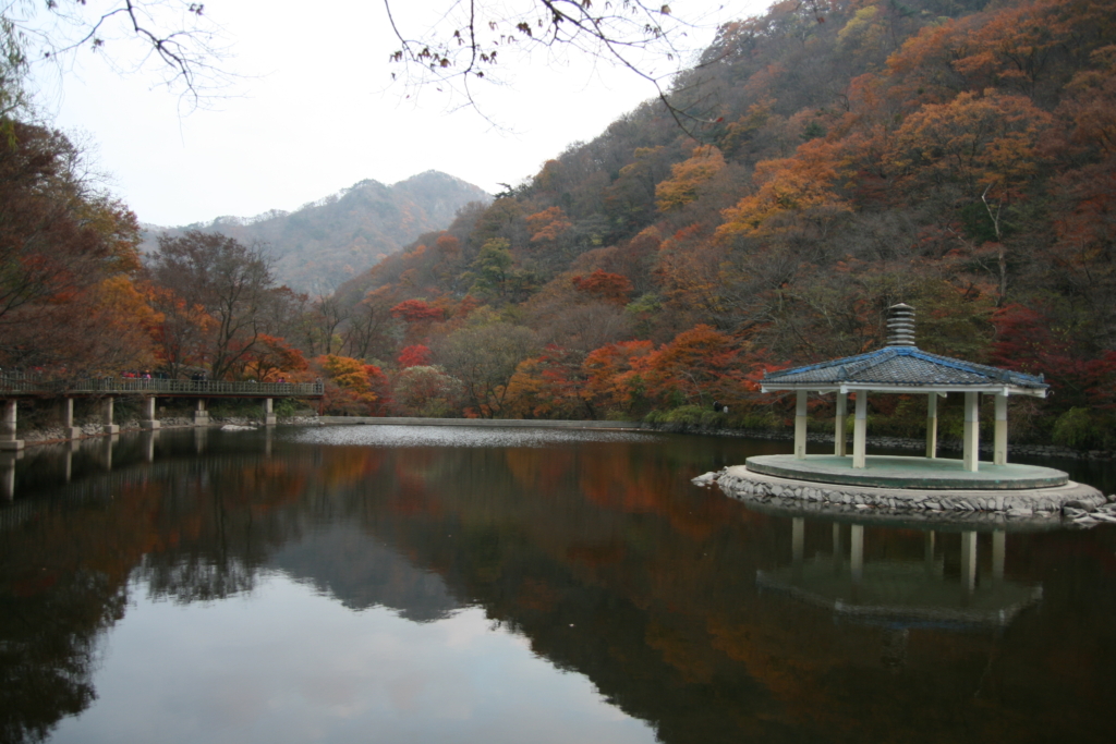 사용자 삽입 이미지