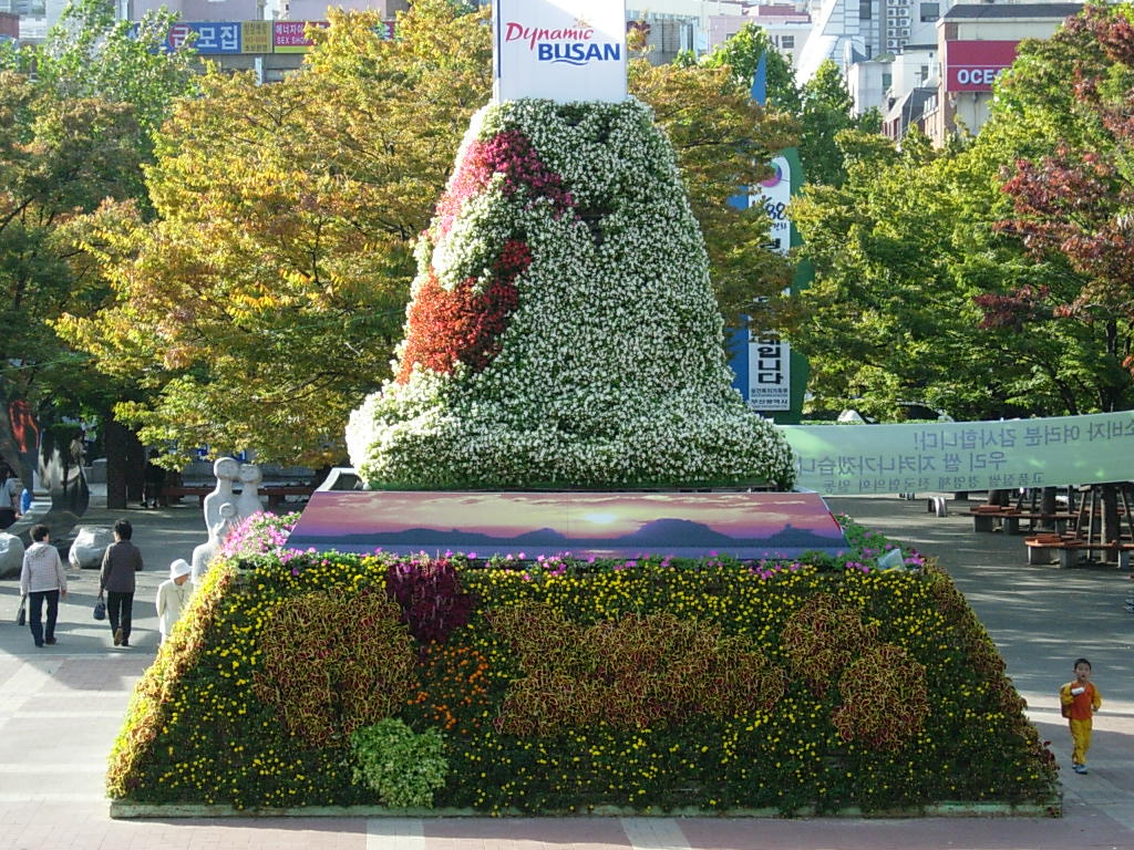 사용자 삽입 이미지