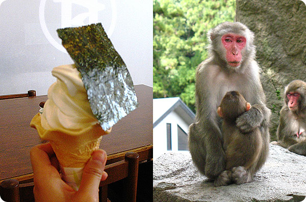 소금맛 소프트 아이스크림과 원숭이