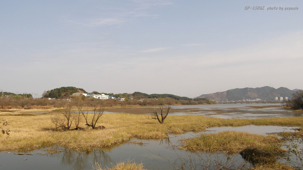 사용자 삽입 이미지