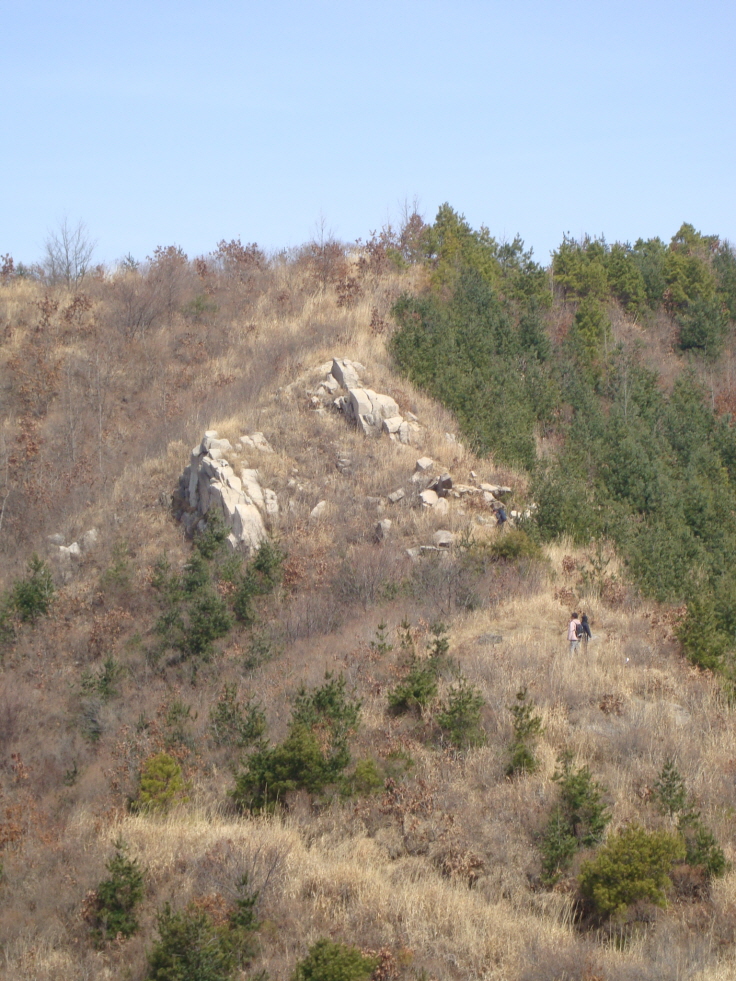 사용자 삽입 이미지