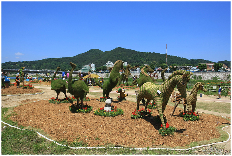 사용자 삽입 이미지