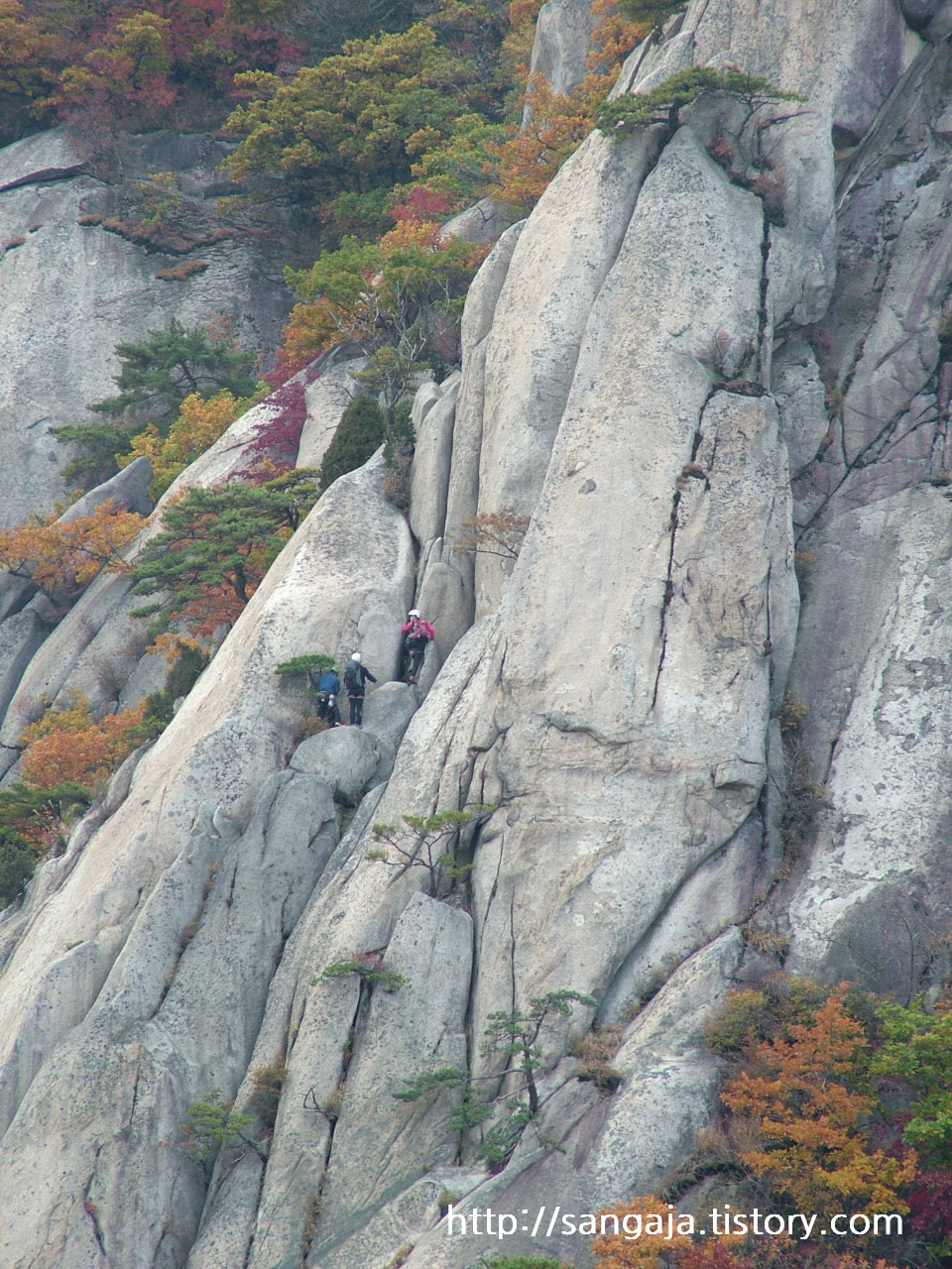 사용자 삽입 이미지