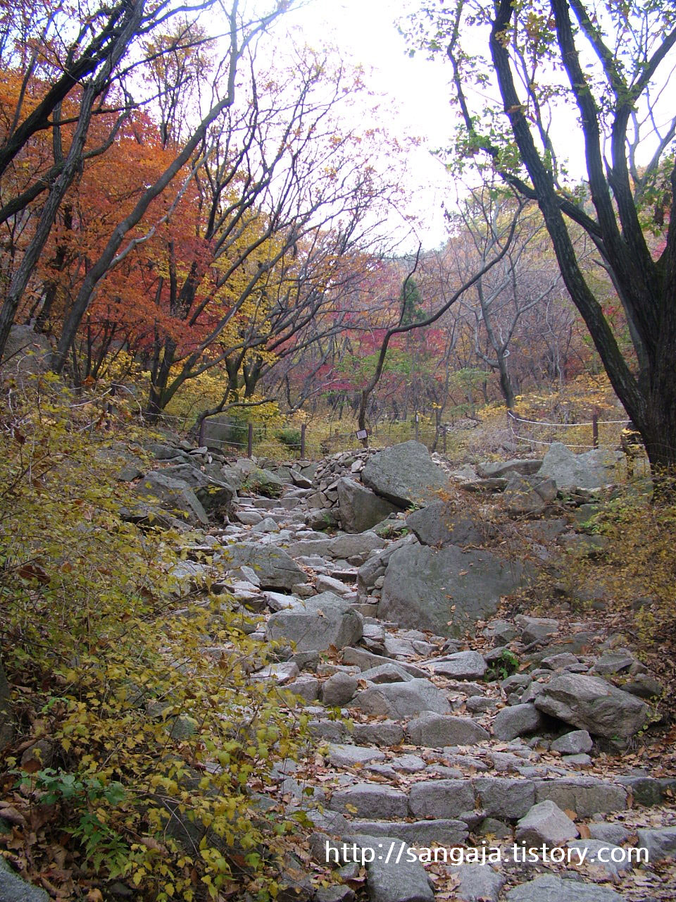 사용자 삽입 이미지