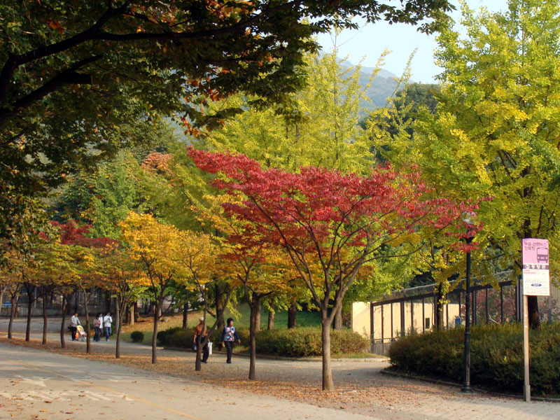 서울대공원