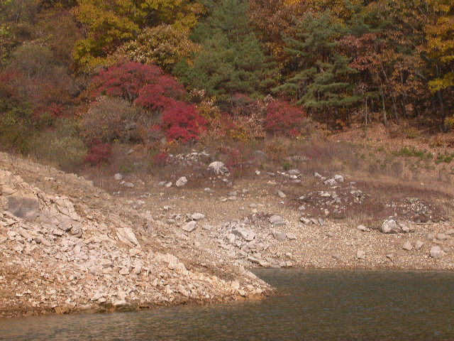 사용자 삽입 이미지
