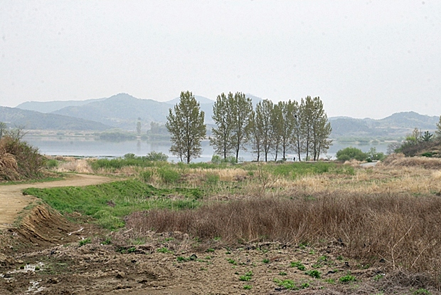 사용자 삽입 이미지