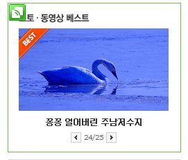 사용자 삽입 이미지