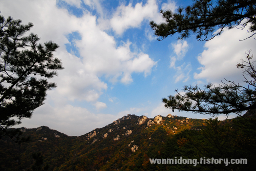 사용자 삽입 이미지