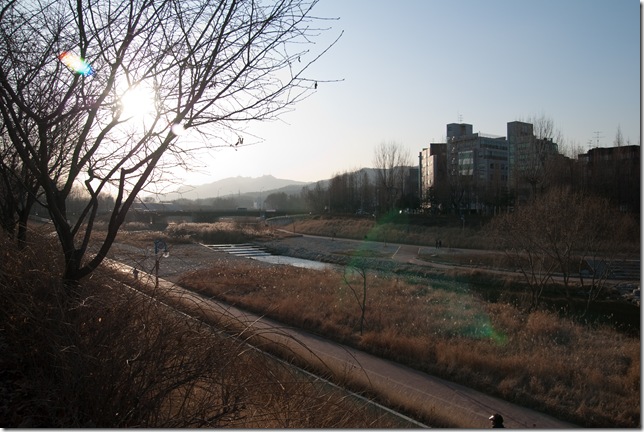 양재천을 바라보며