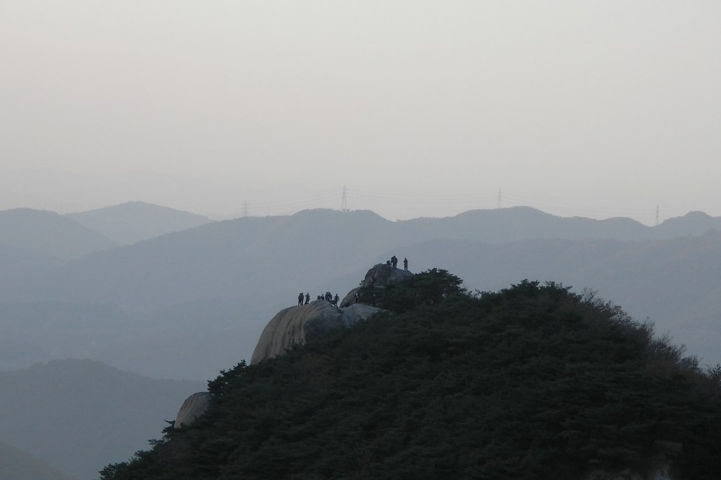 사용자 삽입 이미지