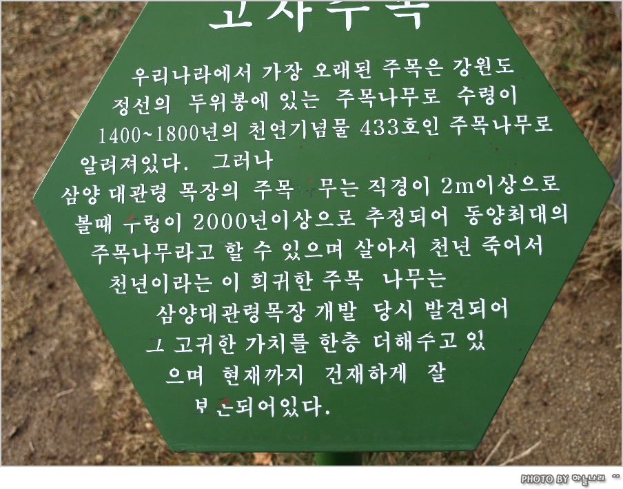 사용자 삽입 이미지