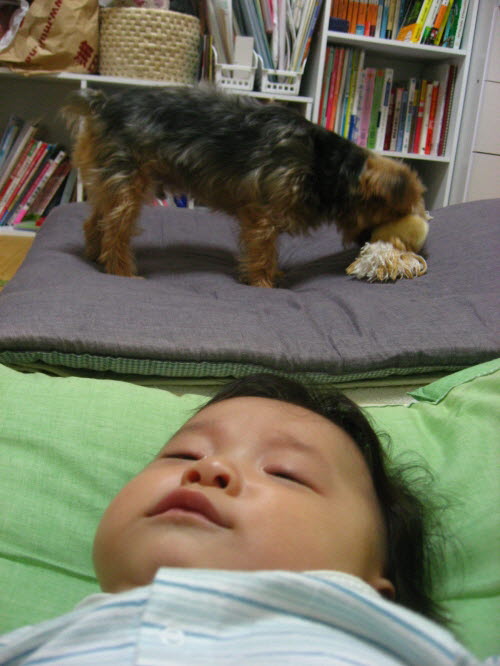 사용자 삽입 이미지