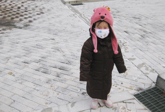 사용자 삽입 이미지