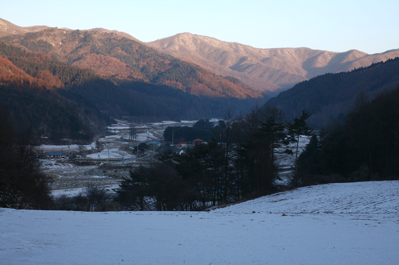 사용자 삽입 이미지