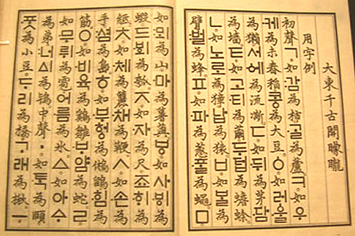 사용자 삽입 이미지