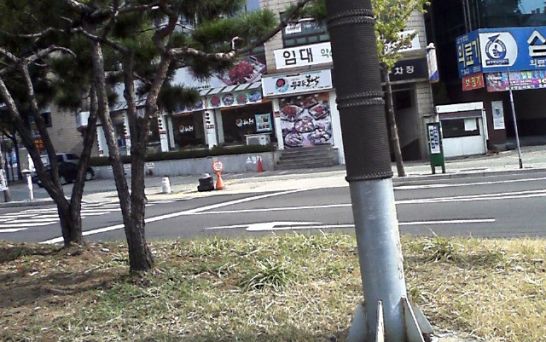 사용자 삽입 이미지