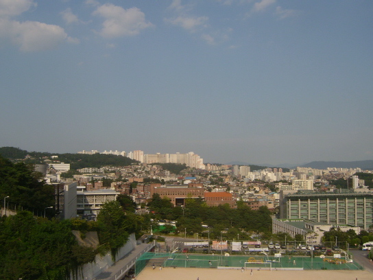 사용자 삽입 이미지