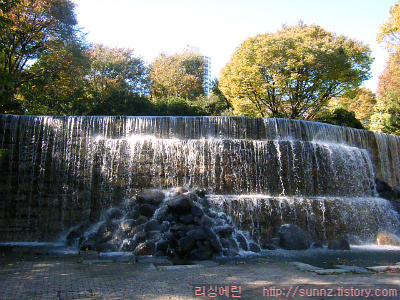 신주쿠 중앙공원 분수대