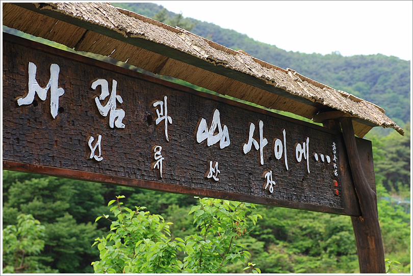사용자 삽입 이미지