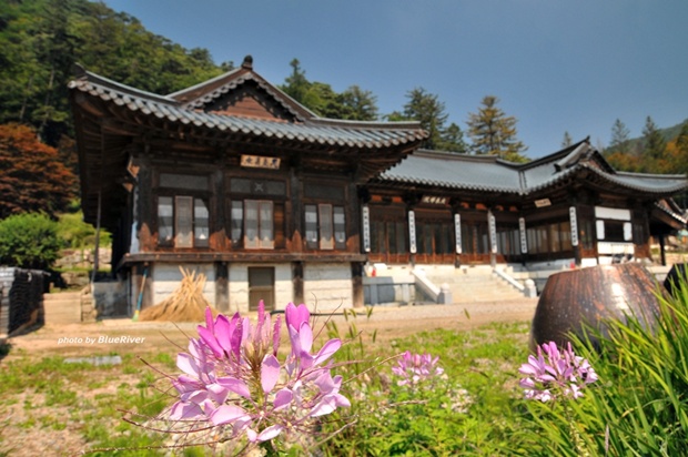 사용자 삽입 이미지