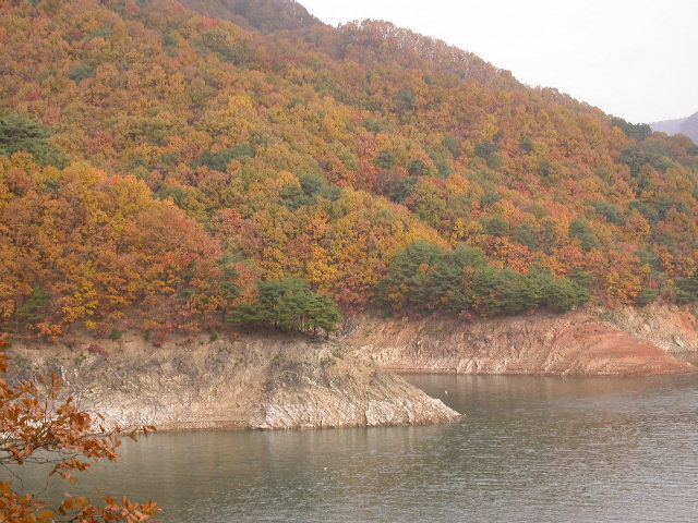 사용자 삽입 이미지