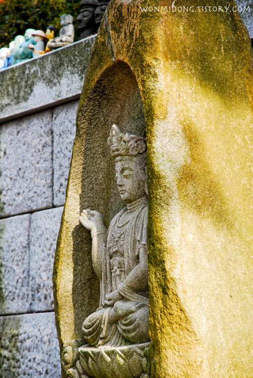 사용자 삽입 이미지
