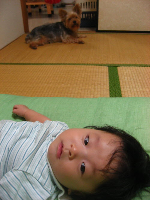 사용자 삽입 이미지