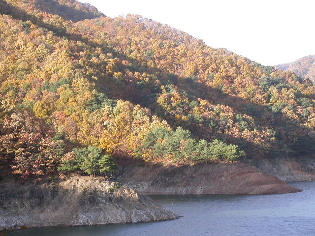 사용자 삽입 이미지
