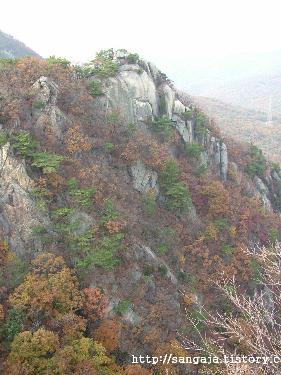 사용자 삽입 이미지