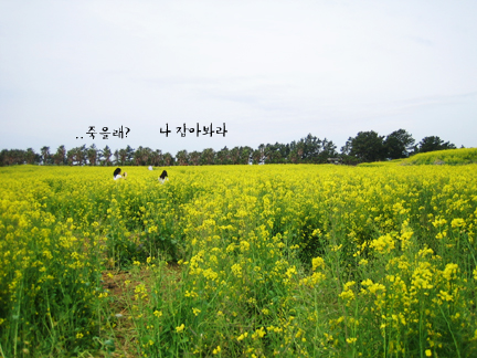 사용자 삽입 이미지