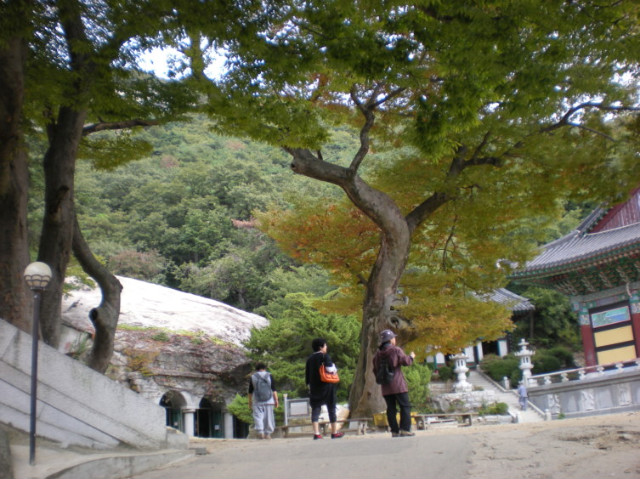 강화볼거리,보문사,강화보문사,버스25시