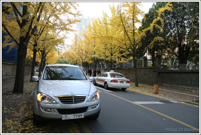 [Car/SUV/쌍용차]  2009년형 카이런 '카...이런..?'  작성중...