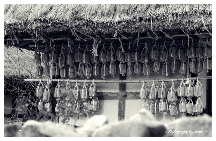 외암민속마을,photogray,사진여행