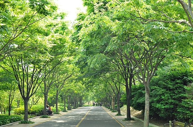 사용자 삽입 이미지