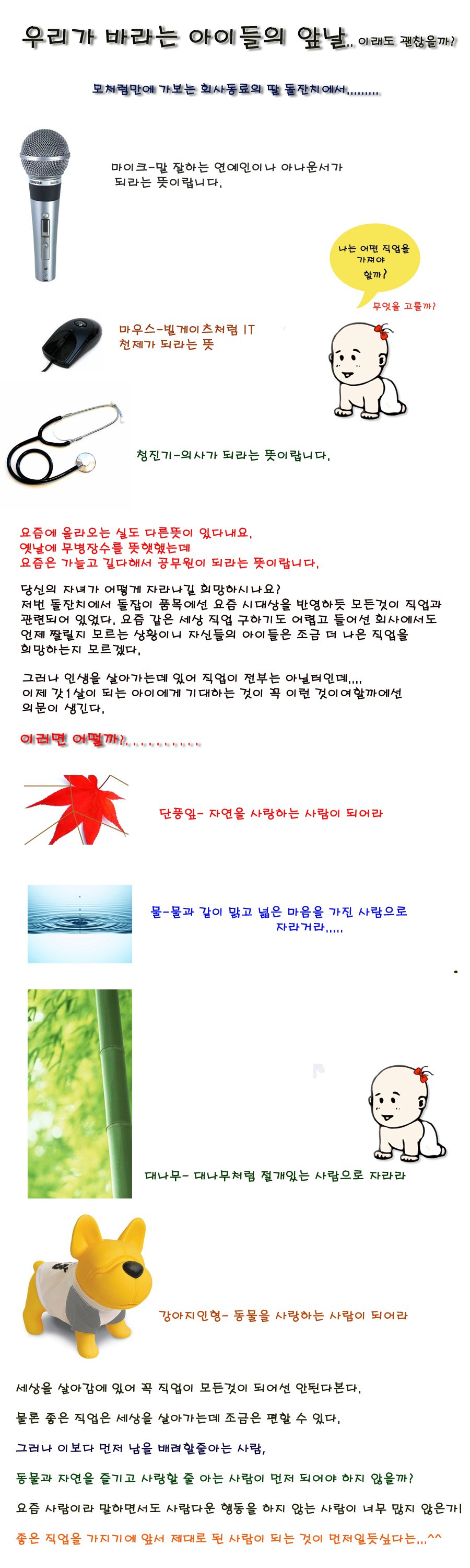 사용자 삽입 이미지