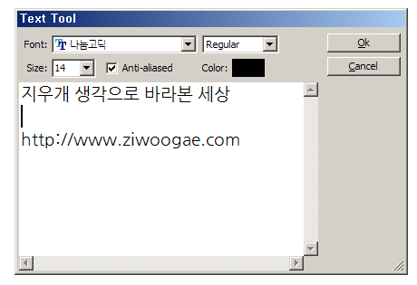 사용자 삽입 이미지