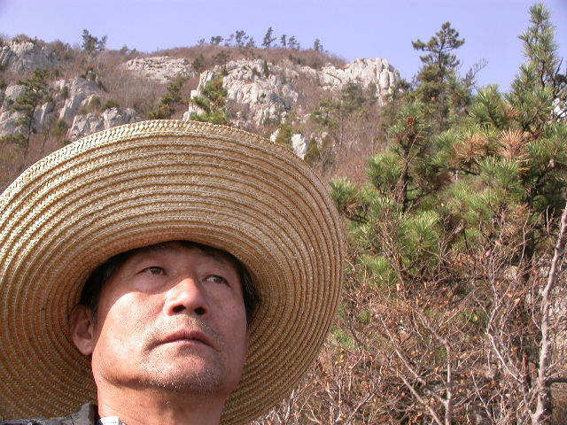 사용자 삽입 이미지
