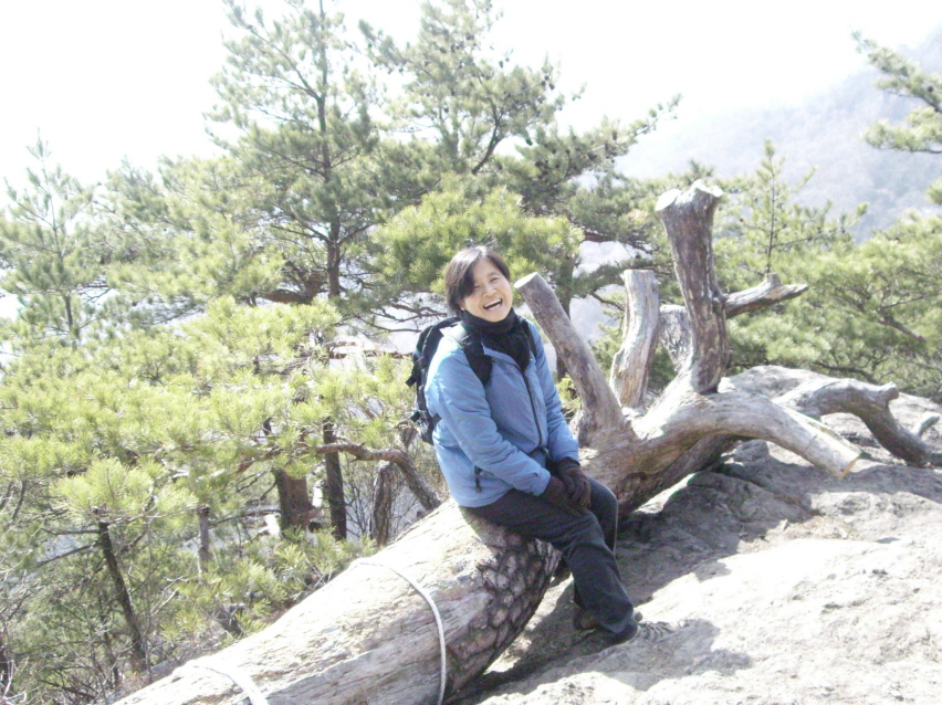 사용자 삽입 이미지